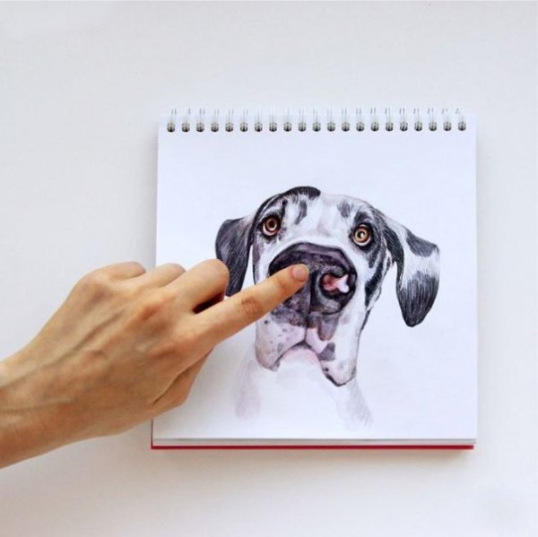 Funny Art by Valeria Susik-11