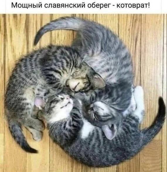 picture_399665976