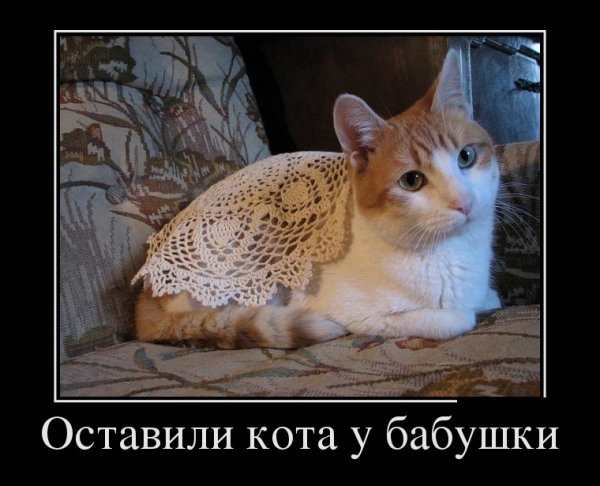 В гостях у бабушки