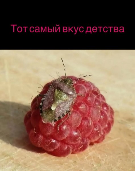 Фото со вкусом)