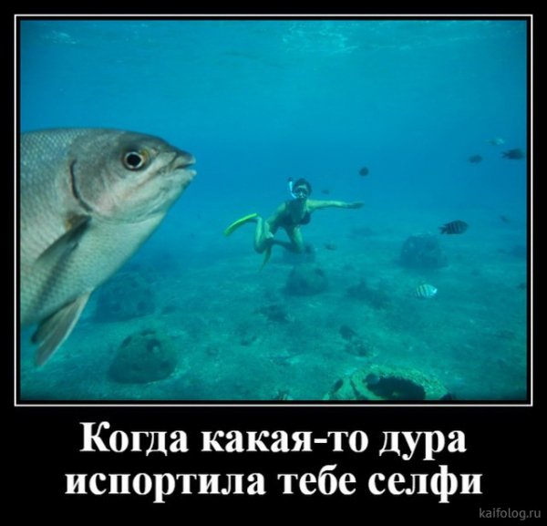 picture_378929996