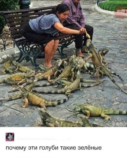 Uy5QL09EgkM