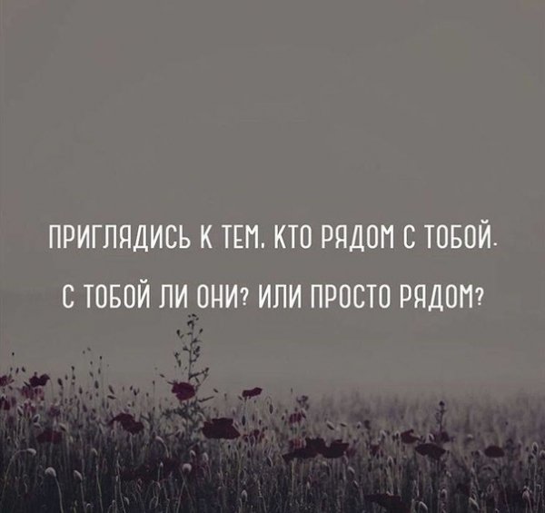 hp2Q0Hb75L0