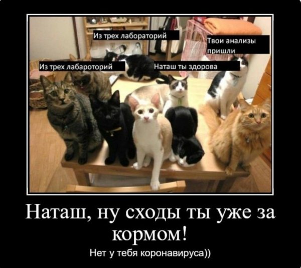 D536e4cf668c5722f0eeb0c2cd992f4e