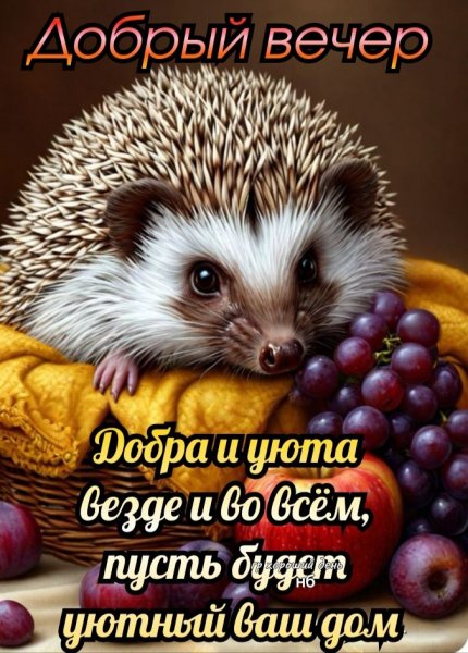 69a023b3bb9f5e1ba5c729ce6cb6d4a8