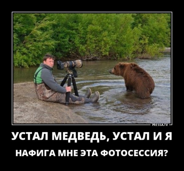 picture_236087539