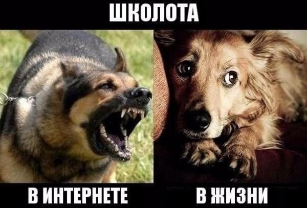 tsoVJdkW7NI