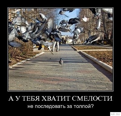Demotivatory (86)