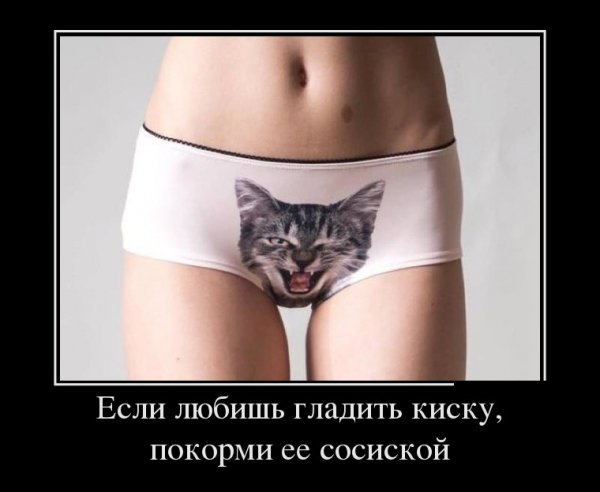 Любишь гладить киску?