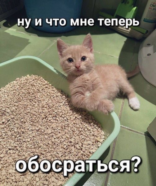 picture_412697569