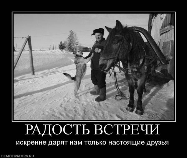 Demotivator (97)