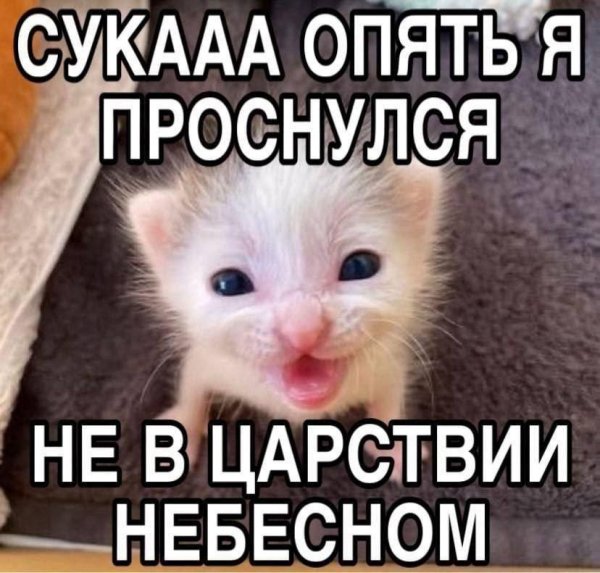 picture_412869255