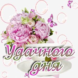 удачного дня