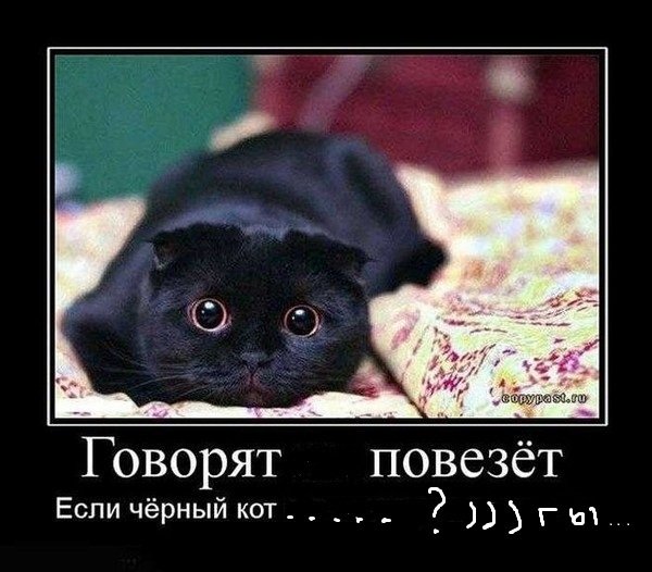 pics