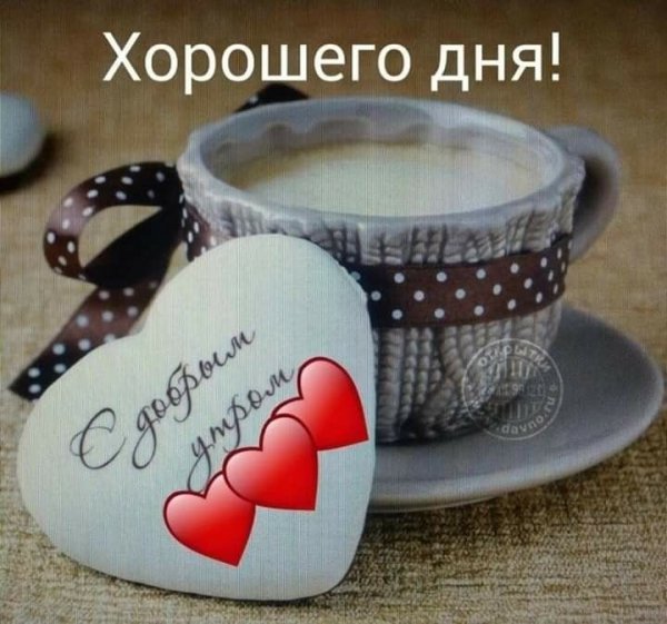 99c77480db6560064758df0fa8e12373