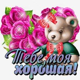 мишка