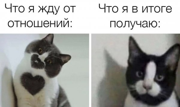 WTTaSjkMw5o