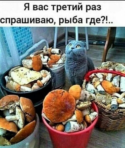 IMG 20260507 151914 675
