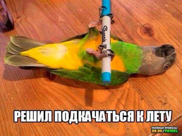 IMG 20211105 081117