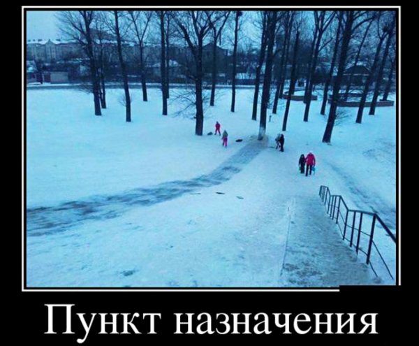 IMG 20250119 210731