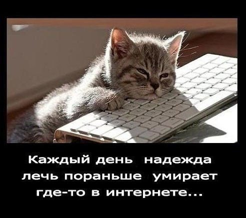 picture_376387570