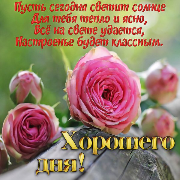 04-28-12-42-56