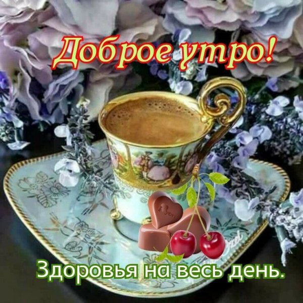IMG-20220331-WA0002