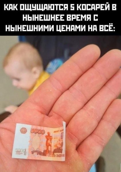p.600.600.0