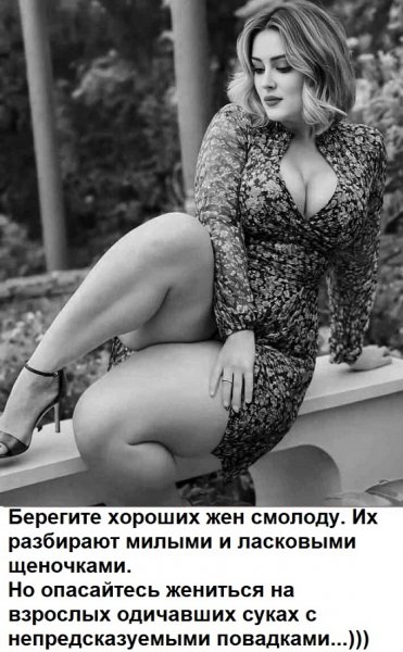 picture_381746118