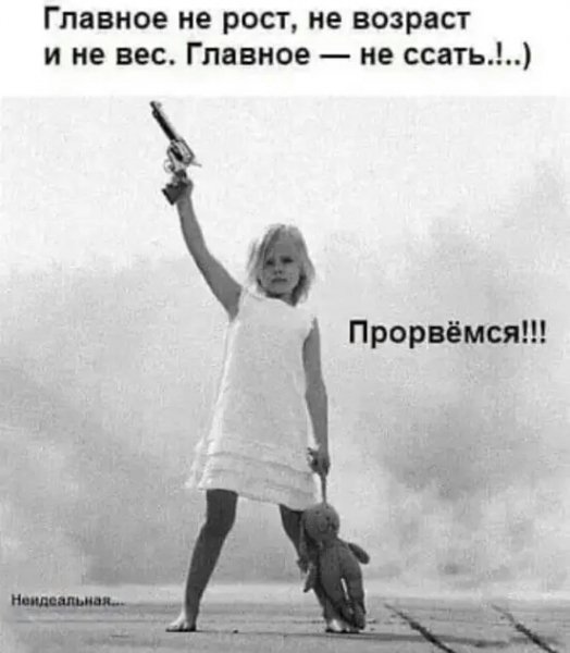 FB IMG 16803202488209221