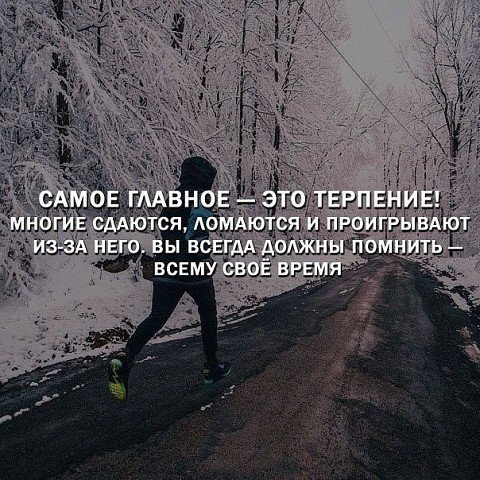 picture_208069620
