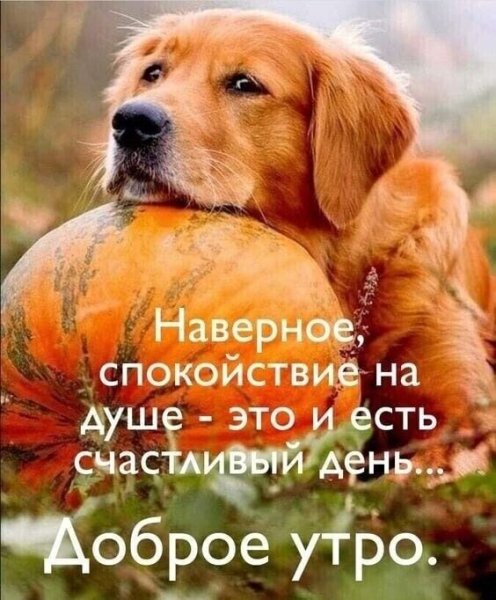 IMG 20230731 074318