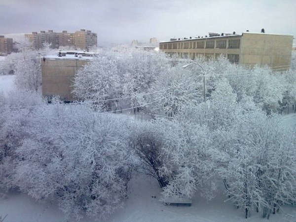 Моя зима