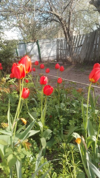 picture_411807071