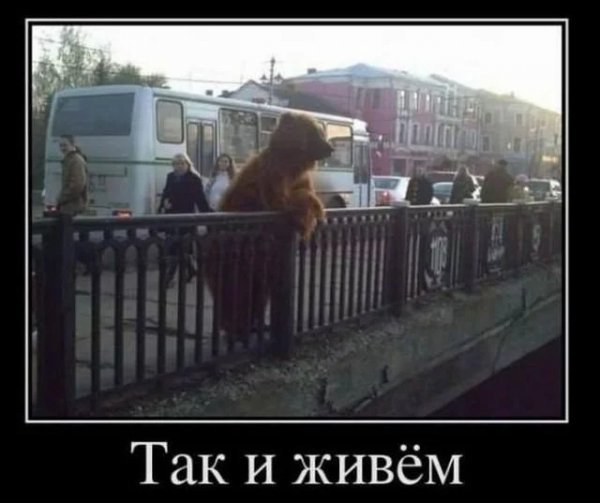 Так и живем