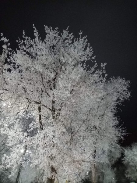 picture_404920702
