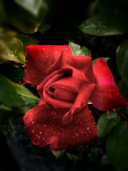 IMG 20160425 004443