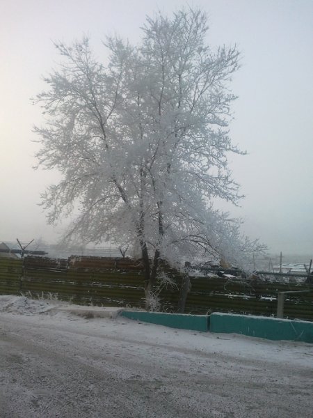 picture_91706859