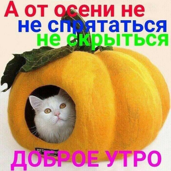 PzEwtIBMSDo
