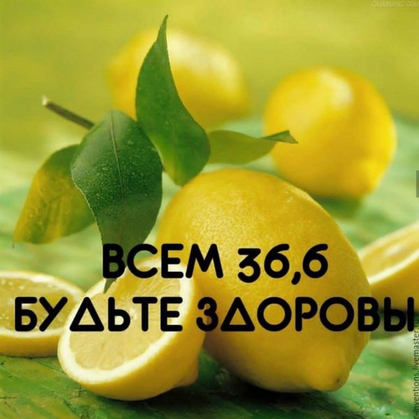 -E9hKo6A1XQ