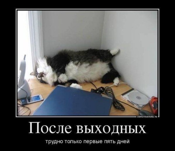 После выходных