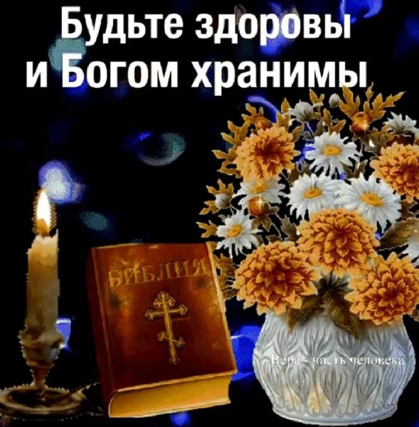 IMG 20220223 232220