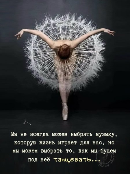 B2R4EvAZ0CK7Xy4syq3n5sfUjjIkuVL4CuB0fvsfi67C6P7lDIx4Idbf9aMo