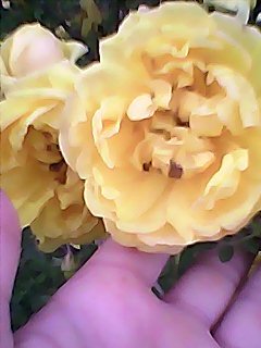 DSC 0000822
