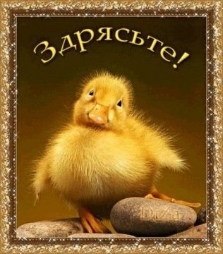 Здрясьте!