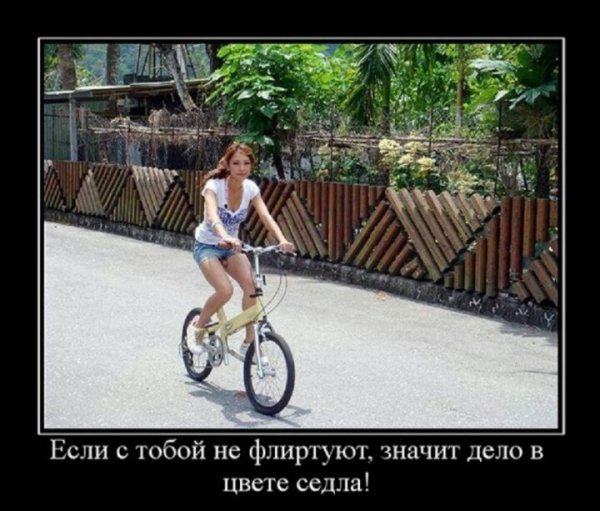 Цвет седла