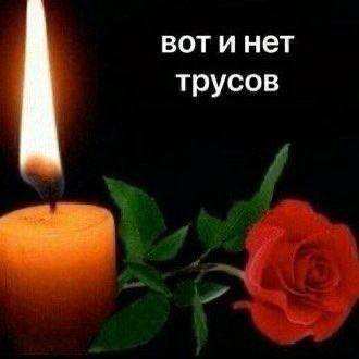picture_412697600
