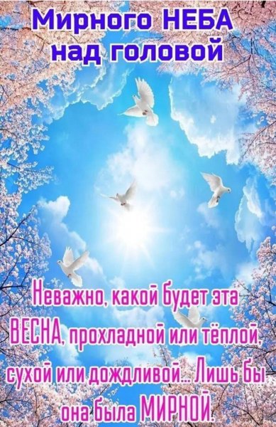 IMG 20220227 234625