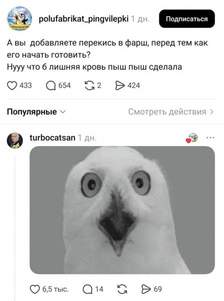 Пыш пыш )