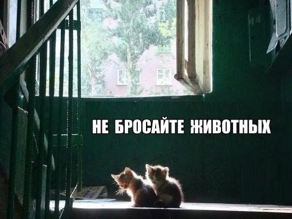 IMG 20211113 023507